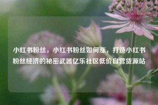 小红书粉丝，小红书粉丝如何涨，打造小红书粉丝经济的秘密武器亿乐社区低价自营货源站