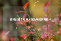 蜂巢能源今年导入电池末端快充技术