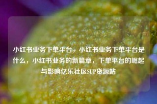 小红书业务下单平台，小红书业务下单平台是什么，小红书业务的新篇章，下单平台的崛起与影响亿乐社区SUP货源站