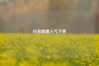 抖音直播人气下单