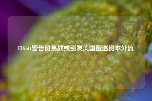 Elliott警告贸易战或引发美国遭遇资本外流  第1张