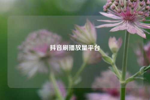 抖音刷播放量平台  第1张