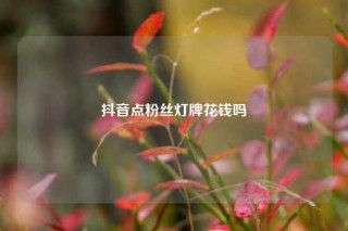 抖音点粉丝灯牌花钱吗