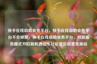 快手在线自助业务平台，快手在线自助业务平台不会掉赞，快手在线自助业务平台，创新服务模式开启新机遇亿乐社区低价自营货源站