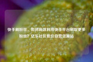 快手刷粉丝，如何高效利用快手平台刷取更多粉丝？亿乐社区低价自营货源站