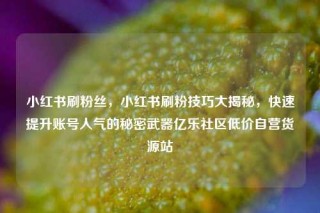 小红书刷粉丝，小红书刷粉技巧大揭秘，快速提升账号人气的秘密武器亿乐社区低价自营货源站