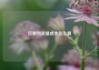 互联网流量成本怎么算