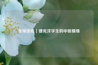 全球连线｜捷克洋学生的中医情缘