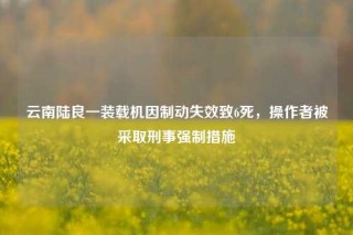 云南陆良一装载机因制动失效致6死，操作者被采取刑事强制措施