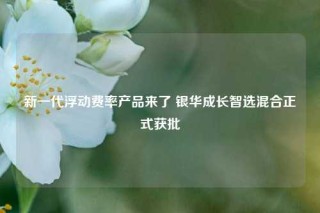 新一代浮动费率产品来了 银华成长智选混合正式获批