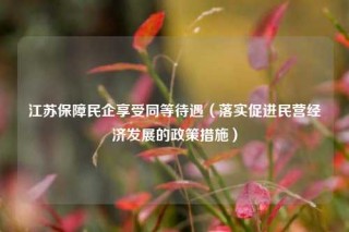 江苏保障民企享受同等待遇（落实促进民营经济发展的政策措施）