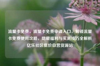 流量卡免费，流量卡免费申请入口，解锁流量卡免费使用攻略，隐藏福利与实测技巧全解析亿乐社区低价自营货源站