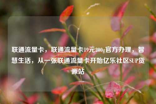 联通流量卡	，联通流量卡19元200g官方办理，智慧生活，从一张联通流量卡开始亿乐社区SUP货源站  第1张