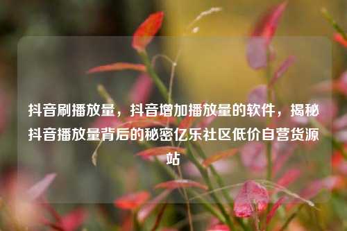 抖音刷播放量，抖音增加播放量的软件	，揭秘抖音播放量背后的秘密亿乐社区低价自营货源站  第1张