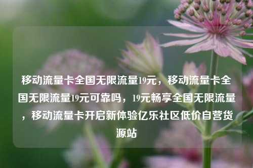 移动流量卡全国无限流量19元	，移动流量卡全国无限流量19元可靠吗，19元畅享全国无限流量，移动流量卡开启新体验亿乐社区低价自营货源站  第1张