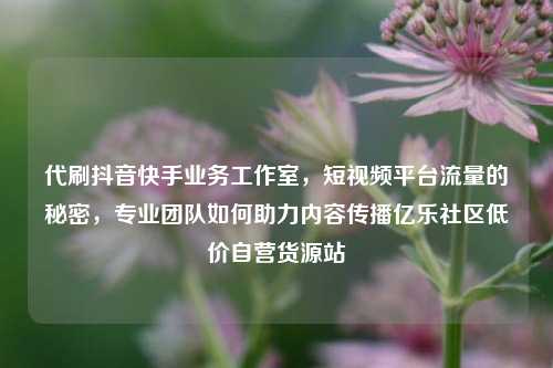代刷抖音快手业务工作室，短视频平台流量的秘密，专业团队如何助力内容传播亿乐社区低价自营货源站  第1张