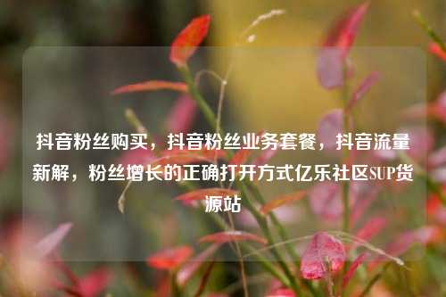 抖音粉丝购买，抖音粉丝业务套餐，抖音流量新解，粉丝增长的正确打开方式亿乐社区SUP货源站  第1张