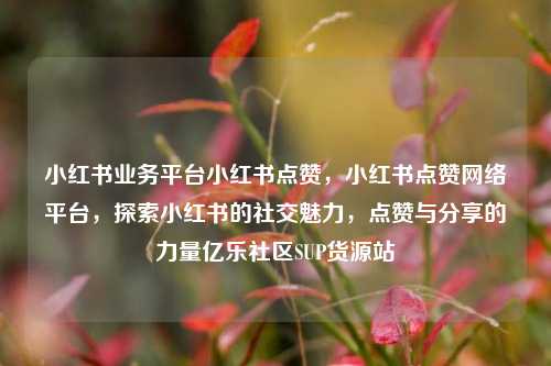 小红书业务平台小红书点赞	，小红书点赞网络平台，探索小红书的社交魅力，点赞与分享的力量亿乐社区SUP货源站  第1张