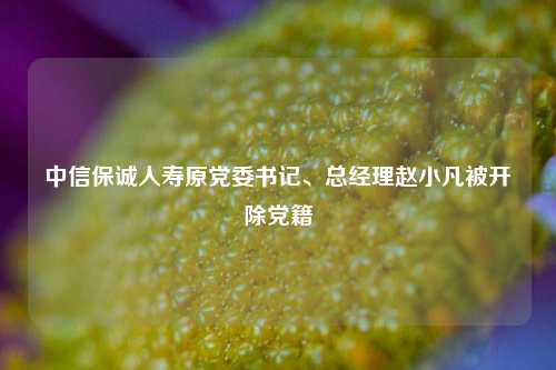 中信保诚人寿原党委书记、总经理赵小凡被开除党籍  第1张