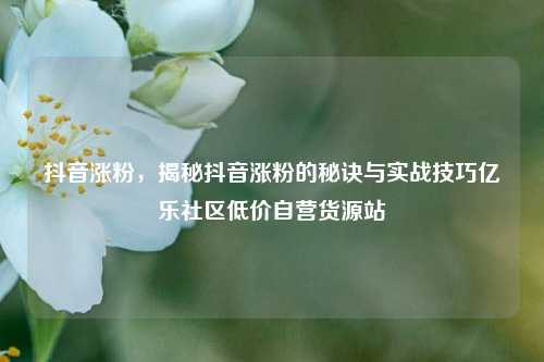 抖音涨粉，揭秘抖音涨粉的秘诀与实战技巧亿乐社区低价自营货源站  第1张