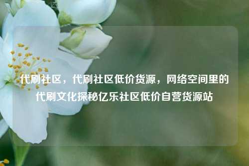 代刷社区，代刷社区低价货源，网络空间里的代刷文化探秘亿乐社区低价自营货源站  第1张