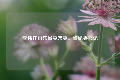 李伟任山东省委常委	、省纪委书记  第1张