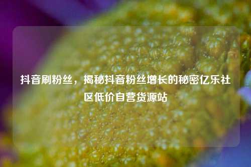 抖音刷粉丝，揭秘抖音粉丝增长的秘密亿乐社区低价自营货源站  第1张