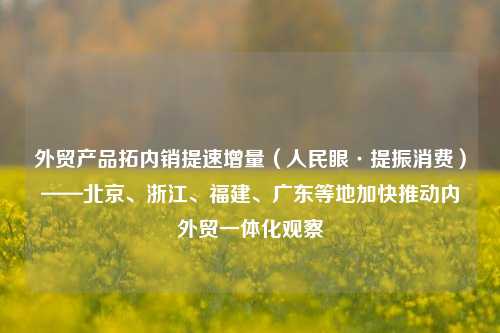 外贸产品拓内销提速增量（人民眼·提振消费）——北京、浙江	、福建、广东等地加快推动内外贸一体化观察  第1张