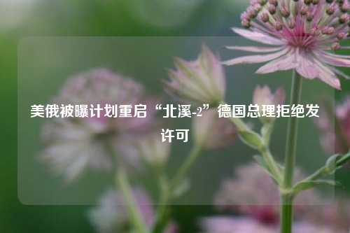 美俄被曝计划重启“北溪-2”德国总理拒绝发许可  第1张