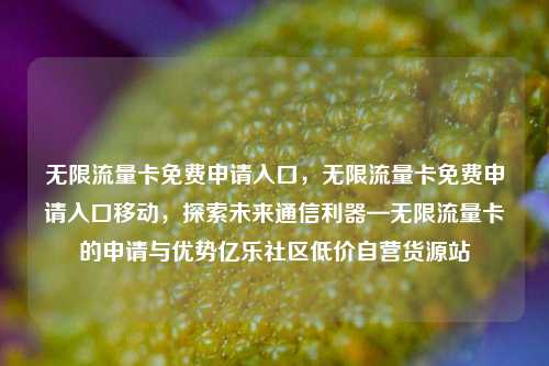 无限流量卡免费申请入口，无限流量卡免费申请入口移动	，探索未来通信利器—无限流量卡的申请与优势亿乐社区低价自营货源站  第1张