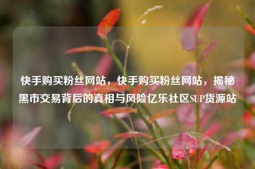 快手购买粉丝网站	，快手购买粉丝网站，揭秘黑市交易背后的真相与风险亿乐社区SUP货源站  第1张