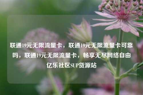 联通19元无限流量卡，联通19元无限流量卡可靠吗	，联通19元无限流量卡，畅享无尽网络自由亿乐社区SUP货源站  第1张