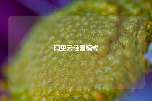 阿里云经营模式  第1张