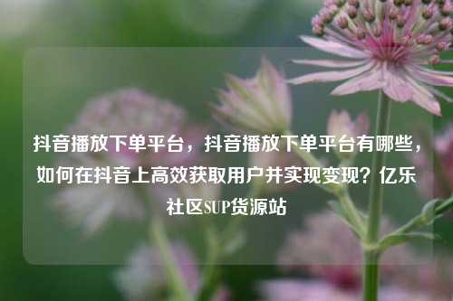 抖音播放下单平台	，抖音播放下单平台有哪些，如何在抖音上高效获取用户并实现变现？亿乐社区SUP货源站  第1张