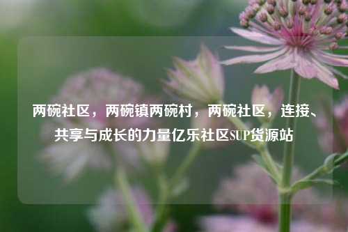 两碗社区，两碗镇两碗村	，两碗社区，连接、共享与成长的力量亿乐社区SUP货源站  第1张