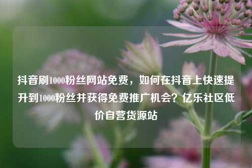 抖音刷1000粉丝网站免费	，如何在抖音上快速提升到1000粉丝并获得免费推广机会？亿乐社区低价自营货源站  第1张