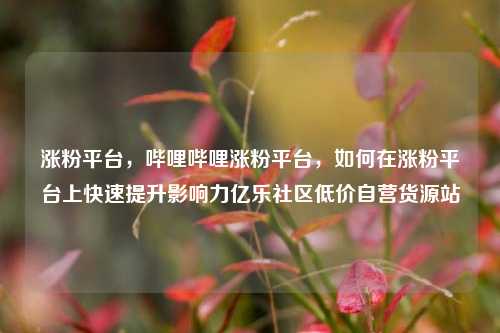 涨粉平台，哔哩哔哩涨粉平台，如何在涨粉平台上快速提升影响力亿乐社区低价自营货源站  第1张
