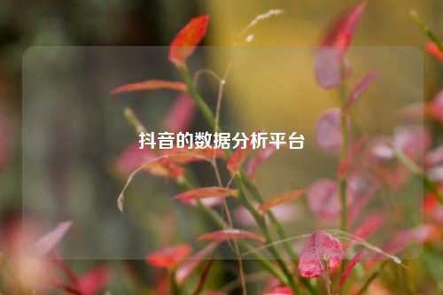 抖音的数据分析平台  第1张