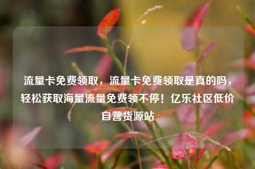 流量卡免费领取，流量卡免费领取是真的吗，轻松获取海量流量免费领不停！亿乐社区低价自营货源站  第1张